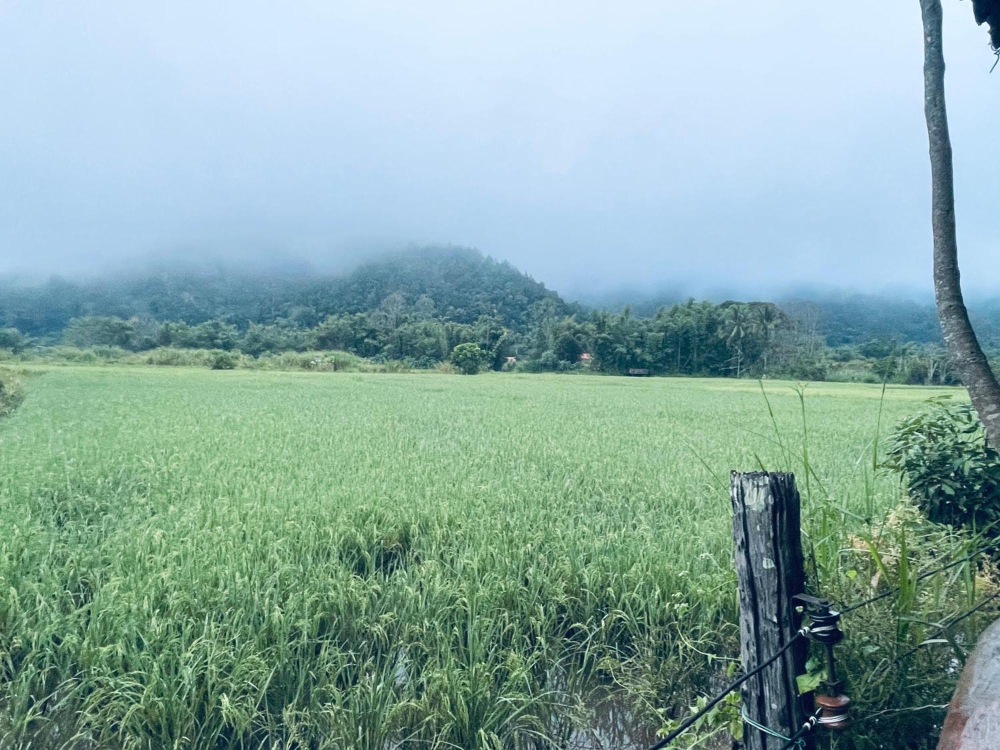 บ้านสวนวิวทุ่ง Ban Mae Sap Nua Extérieur photo