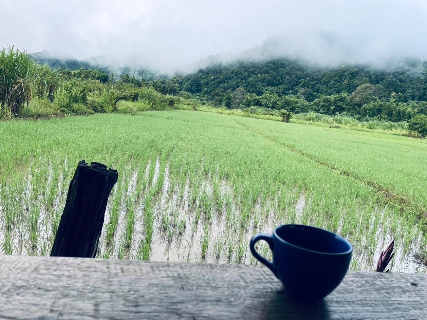 บ้านสวนวิวทุ่ง Ban Mae Sap Nua Extérieur photo