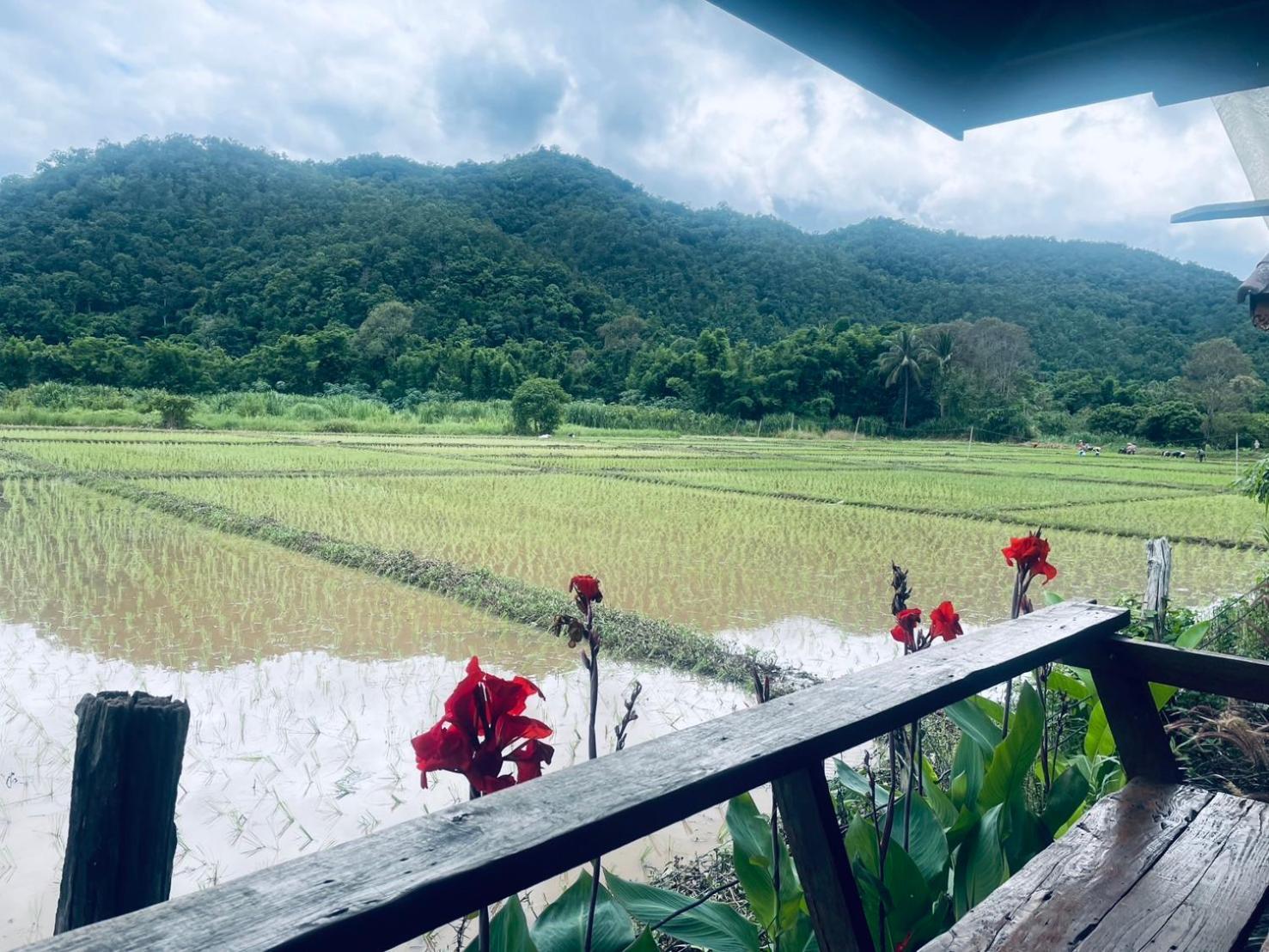 บ้านสวนวิวทุ่ง Ban Mae Sap Nua Extérieur photo
