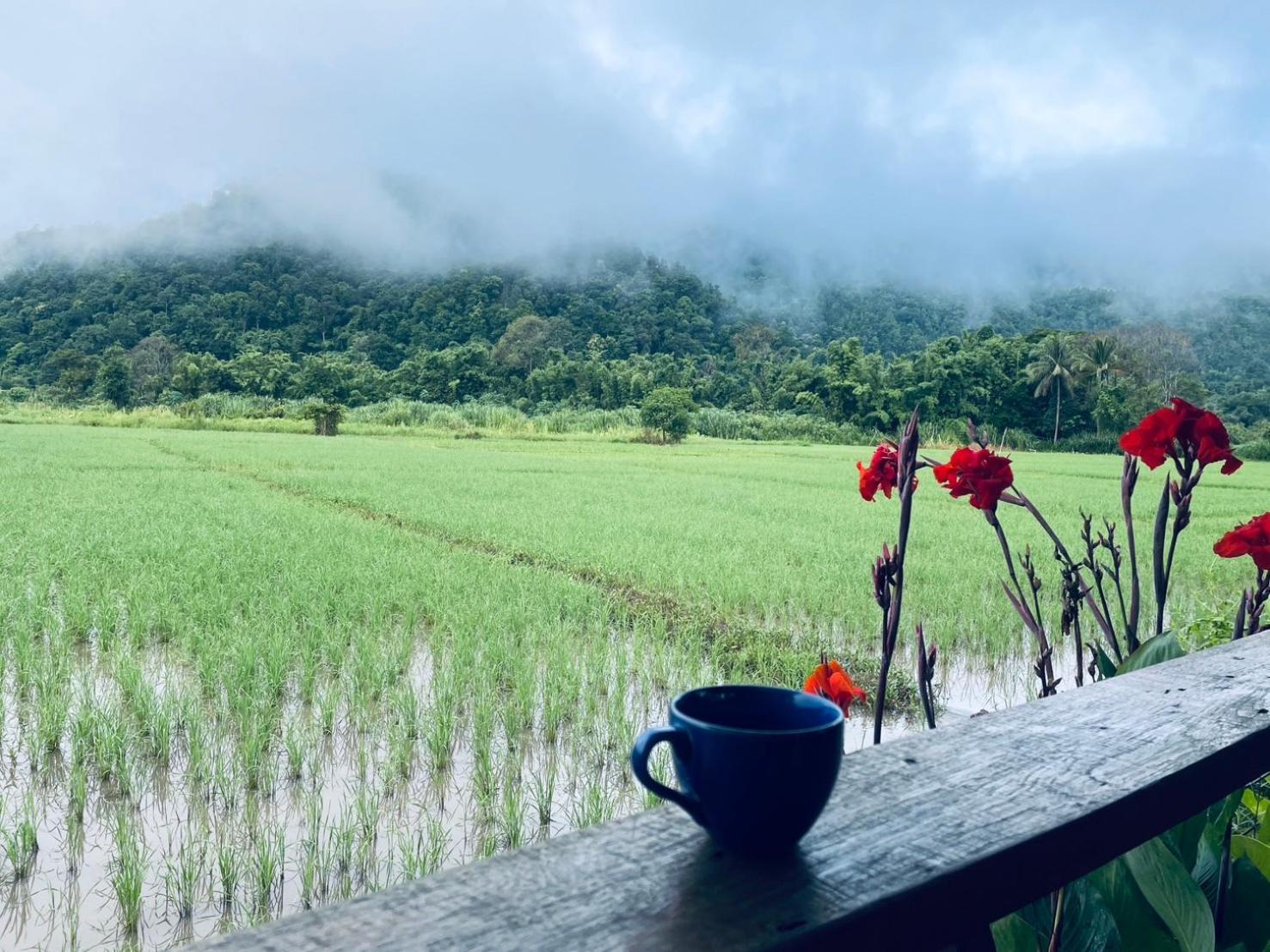บ้านสวนวิวทุ่ง Ban Mae Sap Nua Extérieur photo