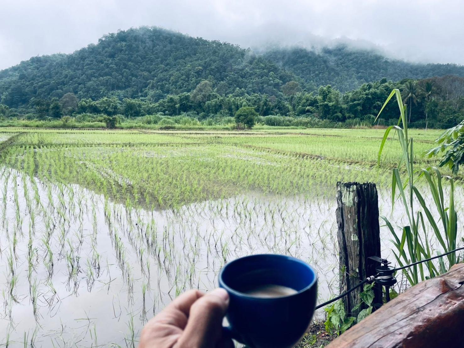 บ้านสวนวิวทุ่ง Ban Mae Sap Nua Extérieur photo
