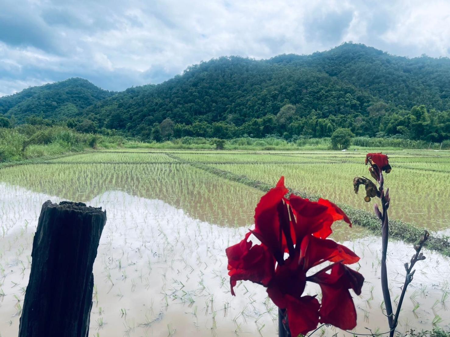 บ้านสวนวิวทุ่ง Ban Mae Sap Nua Extérieur photo