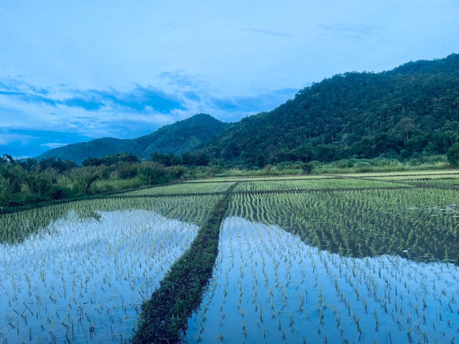 บ้านสวนวิวทุ่ง Ban Mae Sap Nua Extérieur photo