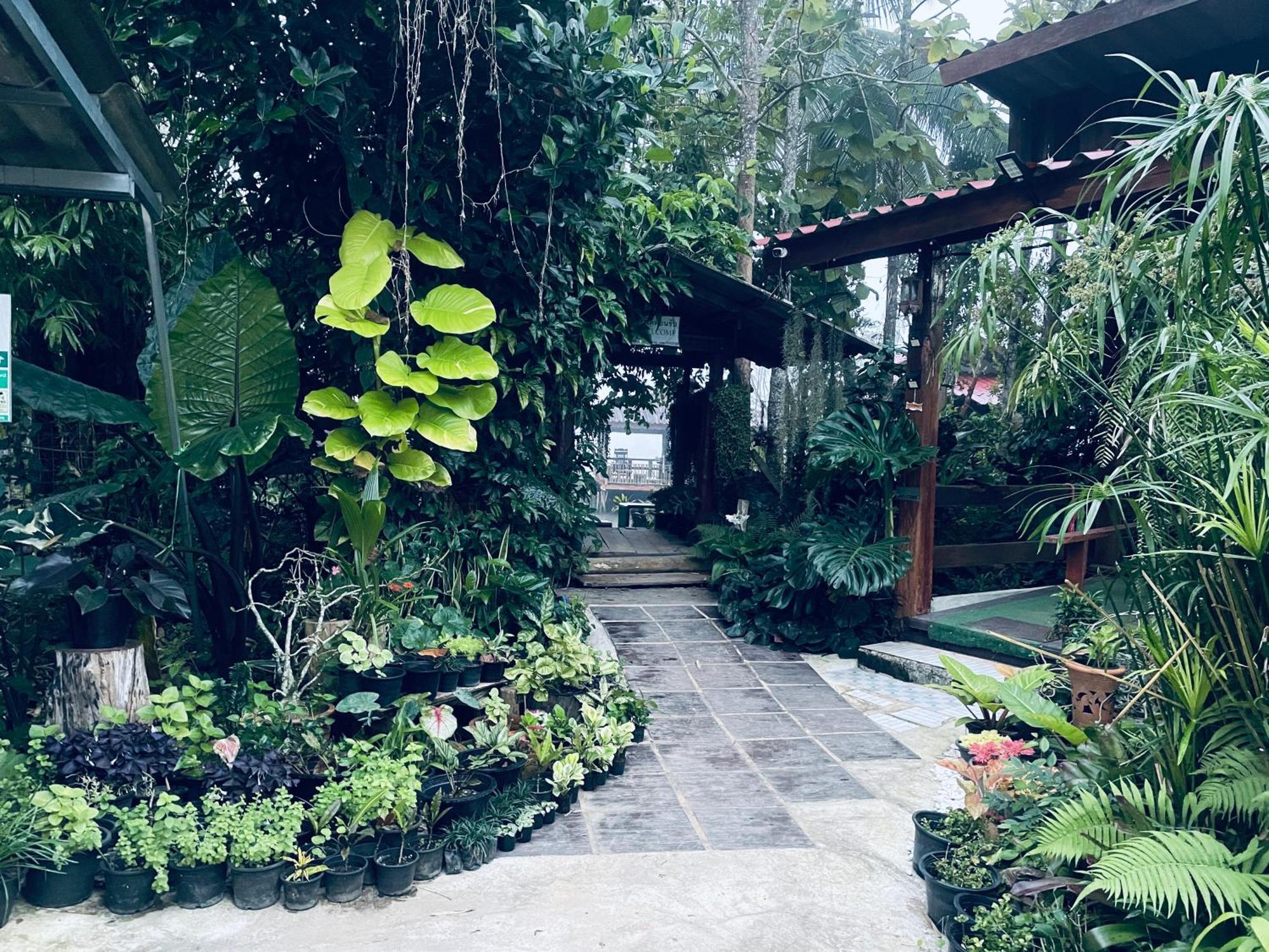 บ้านสวนวิวทุ่ง Ban Mae Sap Nua Extérieur photo