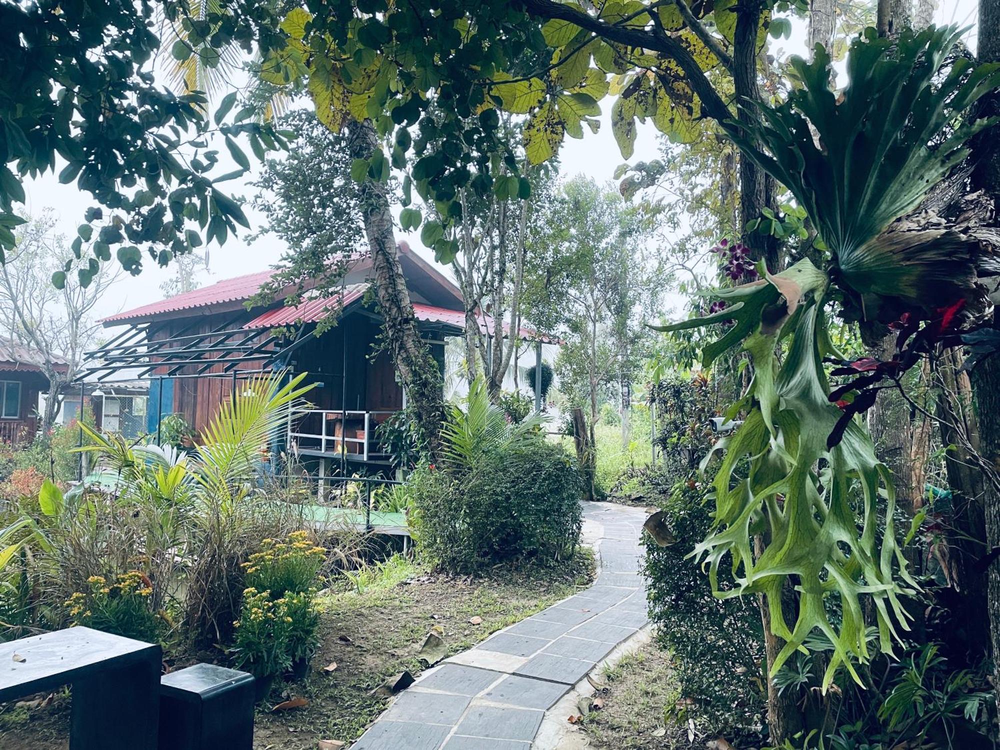 บ้านสวนวิวทุ่ง Ban Mae Sap Nua Extérieur photo